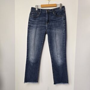 Driftwood Candace Blue Straight Leg Midrise Jeans, Sz 29